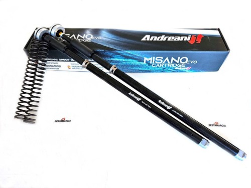 Andreani misano evo2 - andreani,